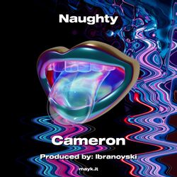 Cover of Naughty