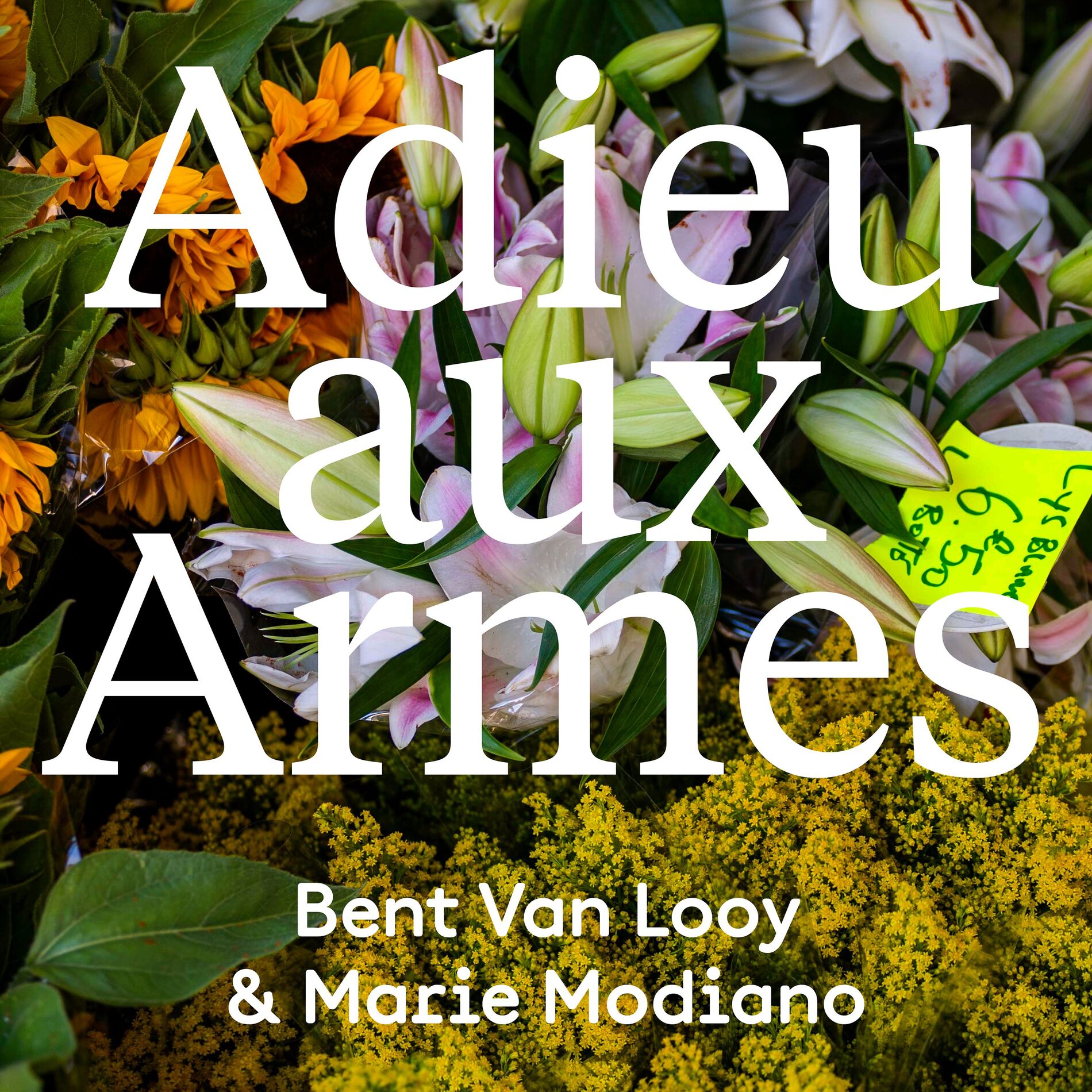 Album cover of Adieu aux Armes