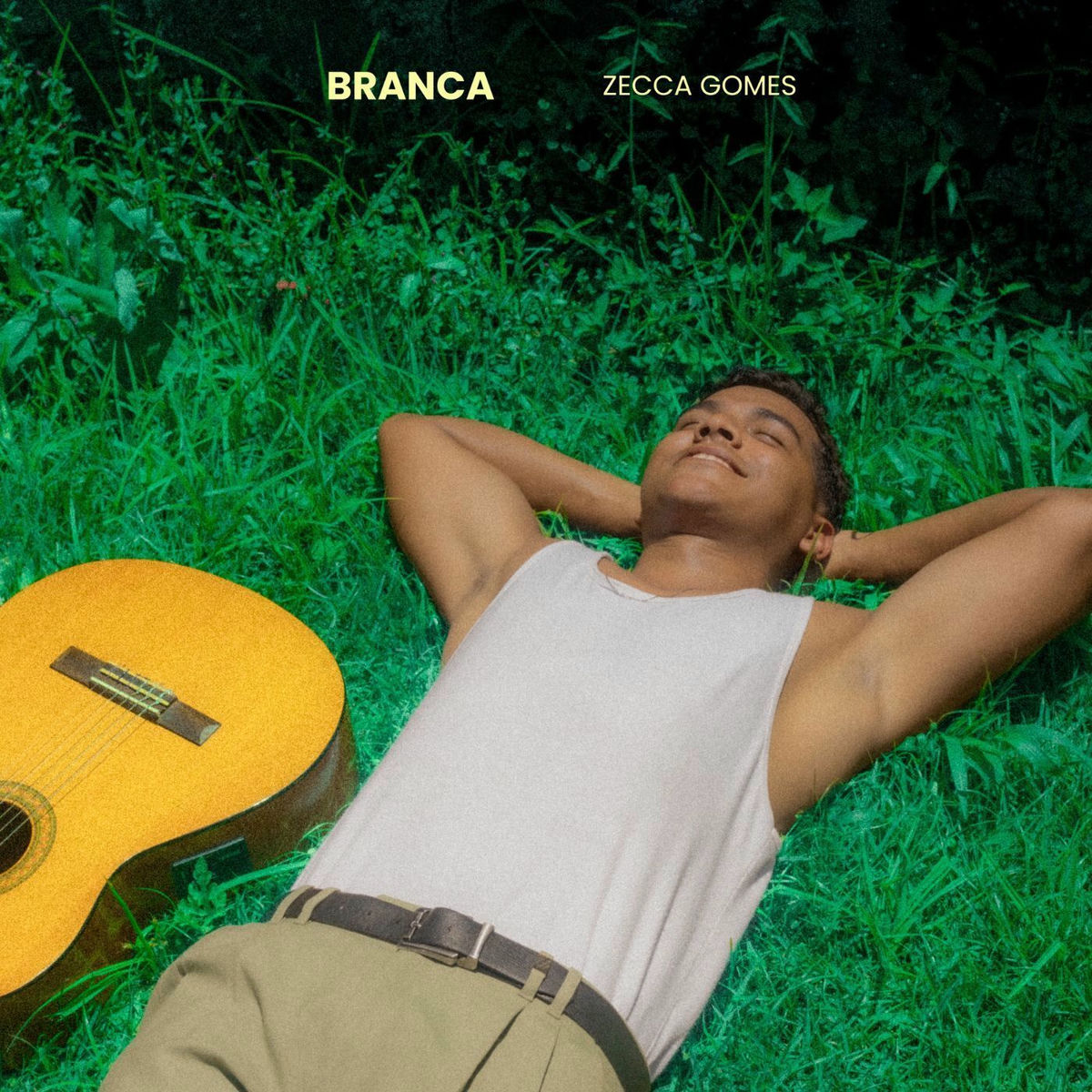 Album cover of Branca