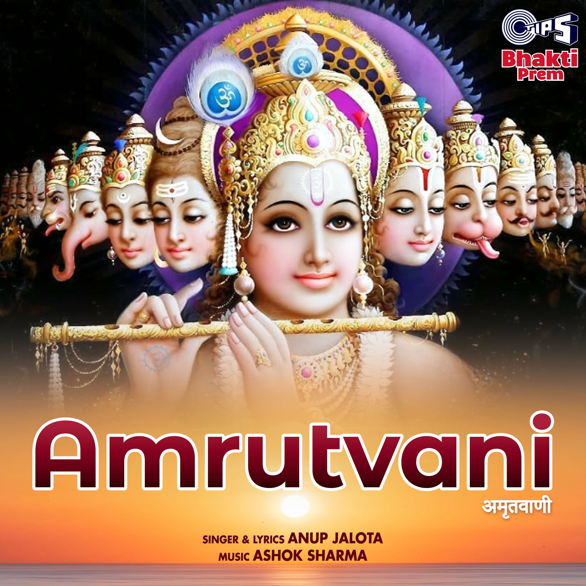 Album cover of Amrutvani