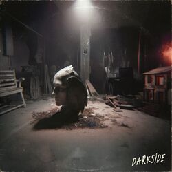 Cover of DARKSIDE