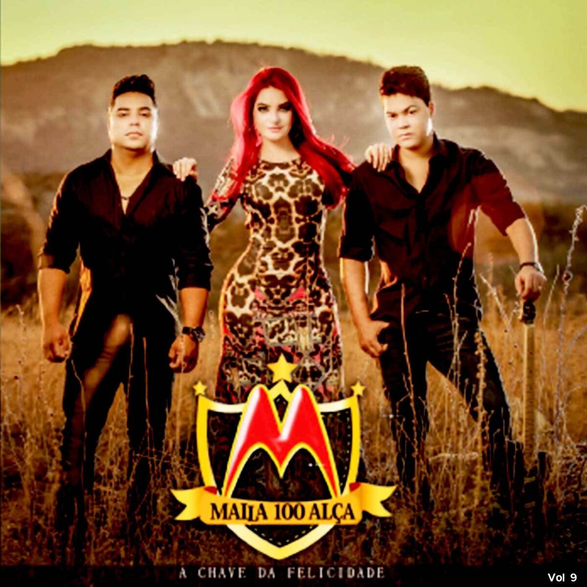 Album cover of A Chave da Felicidade, Vol. 9