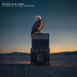 Cover of Heads Up In The Woofer