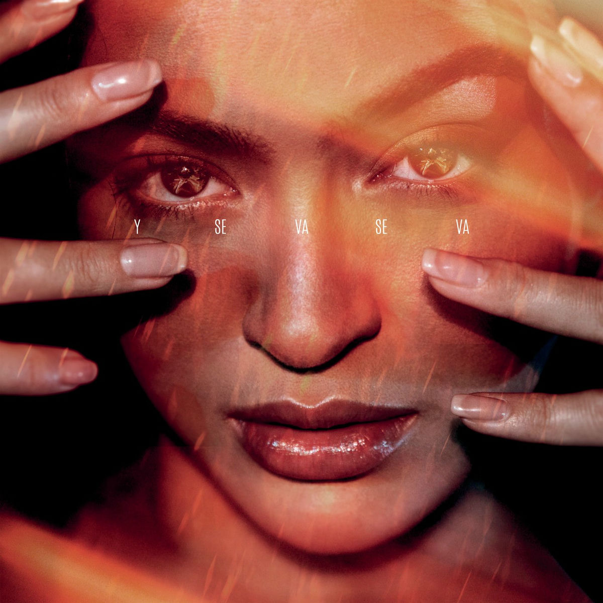 Album cover of Y Se Va Se Va