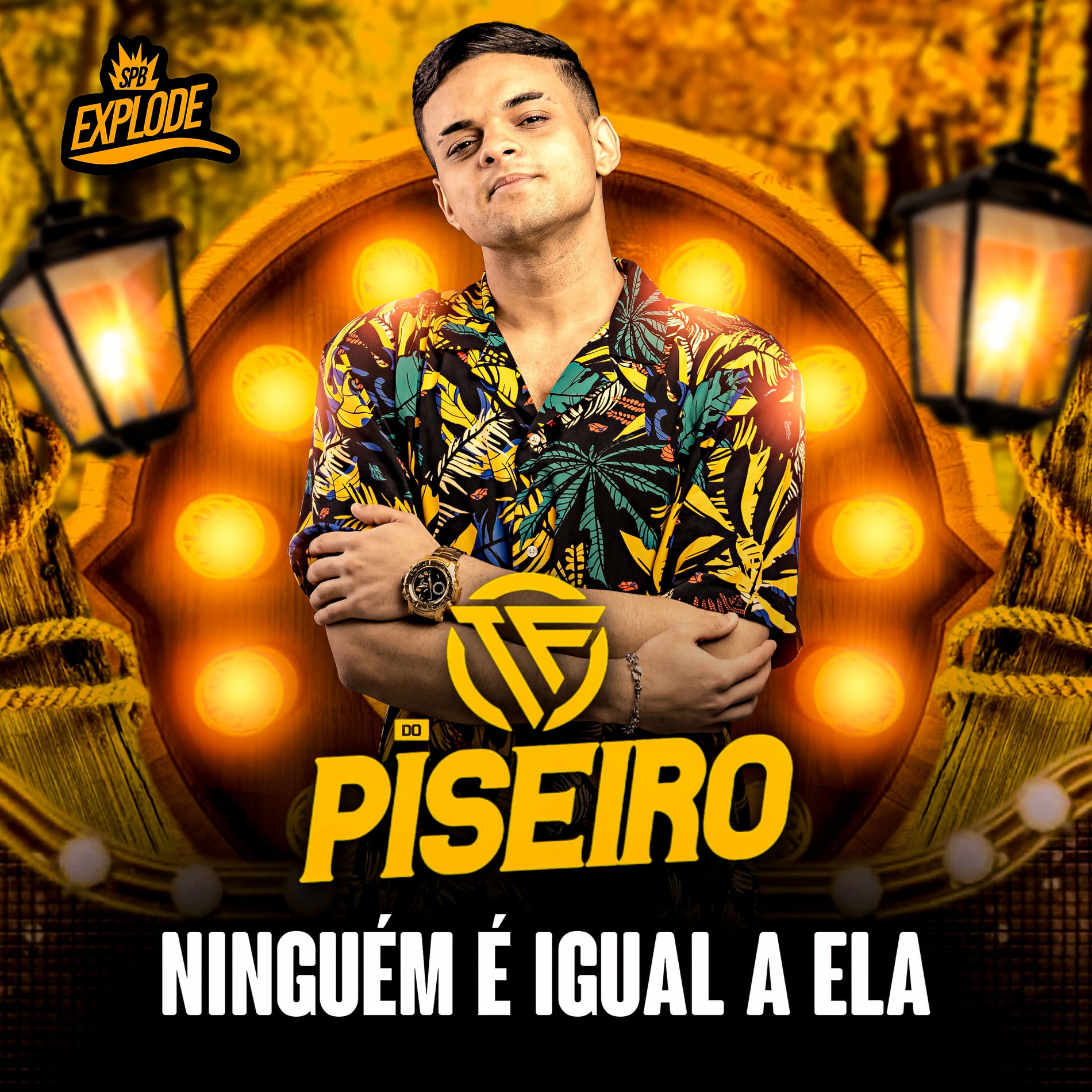 Album cover of Ninguém É Igual a Ela
