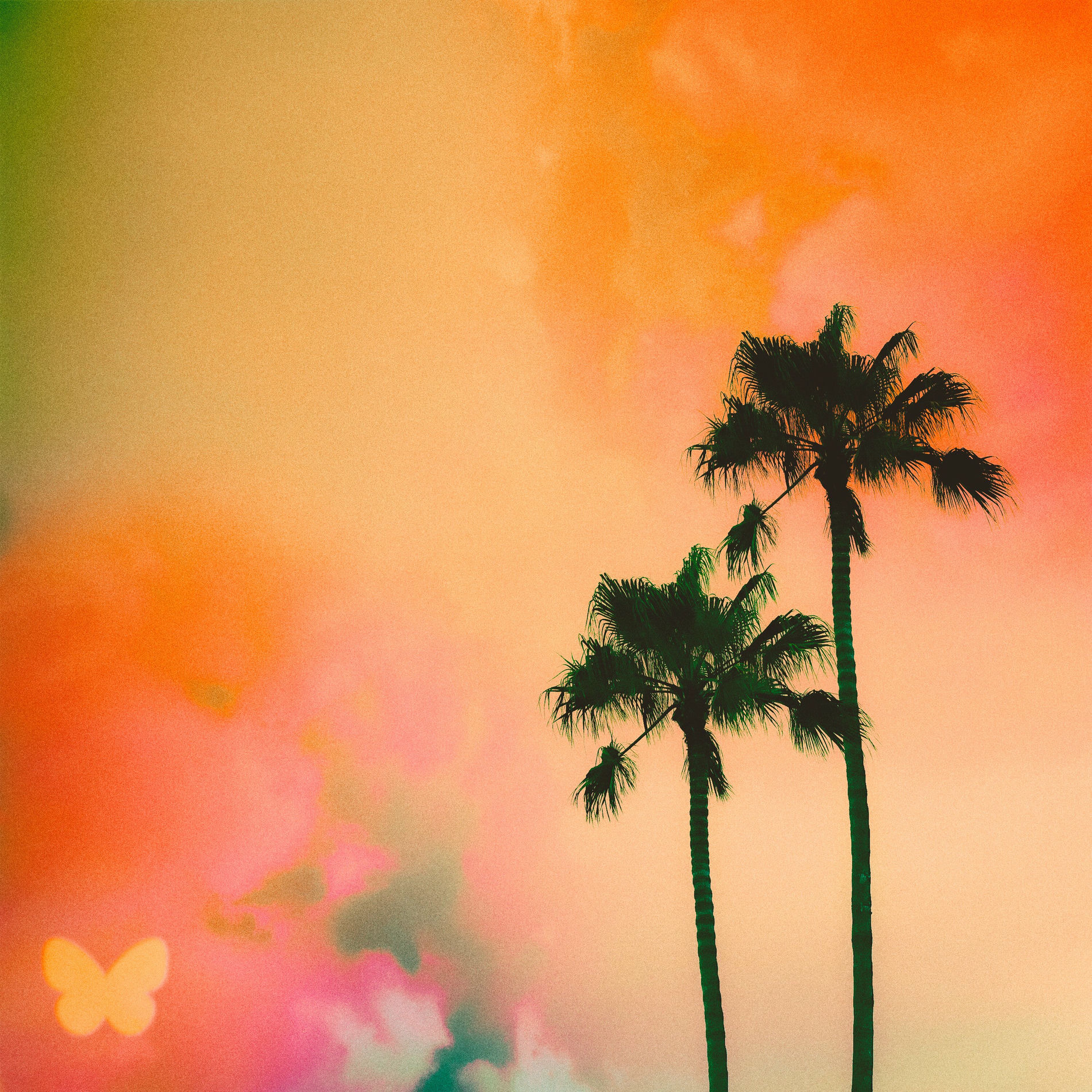 Album cover of Butterflies
