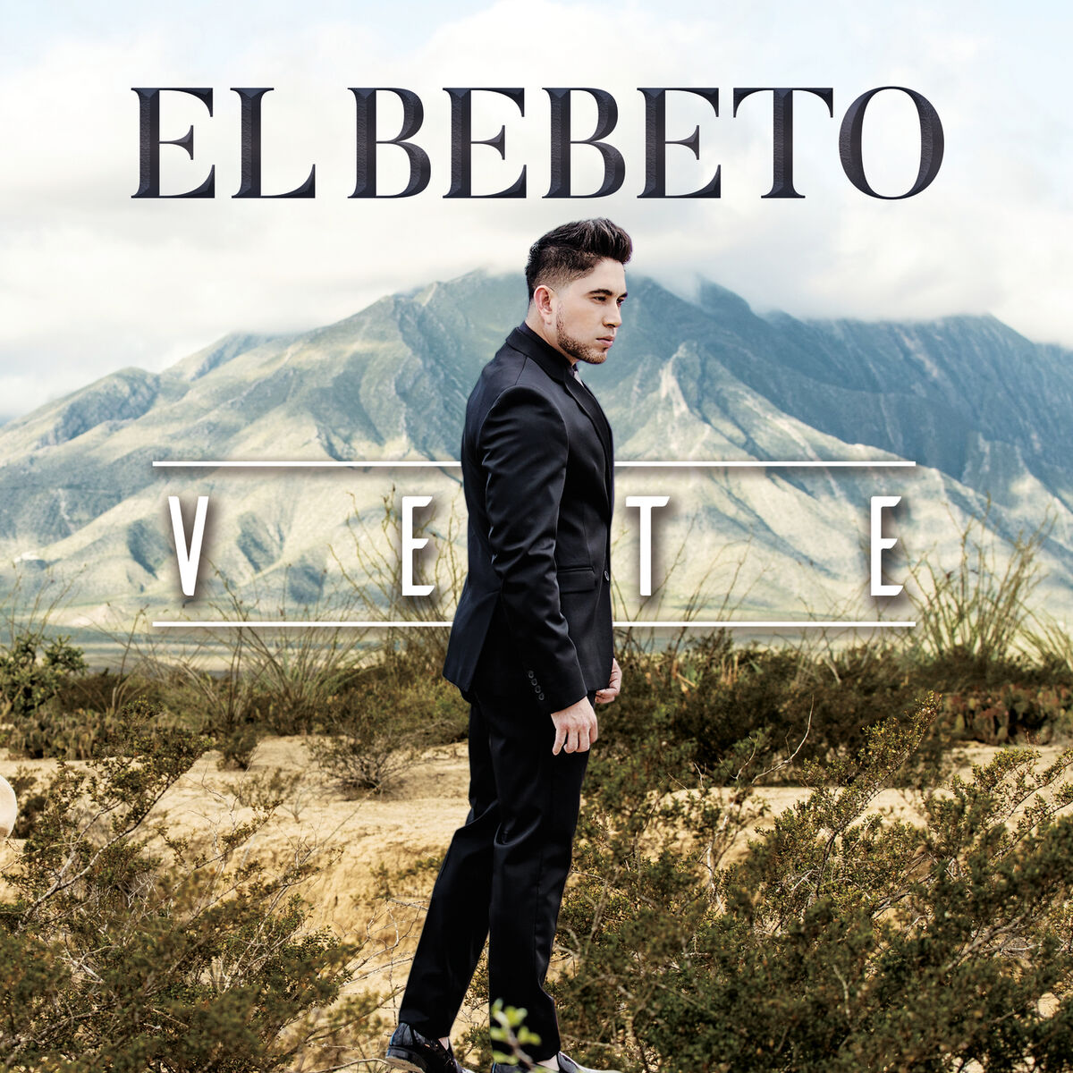 Album cover of Vete