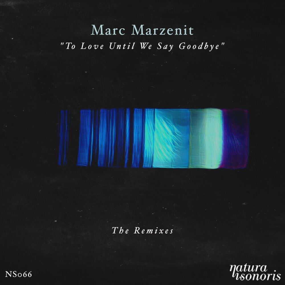 Picture of To Love Until We Say Goodbye. The Remixes