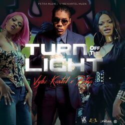 Cover of Turn off the Light
