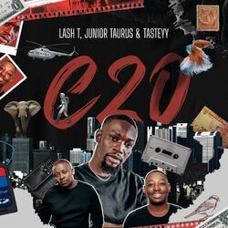 Cover of C20