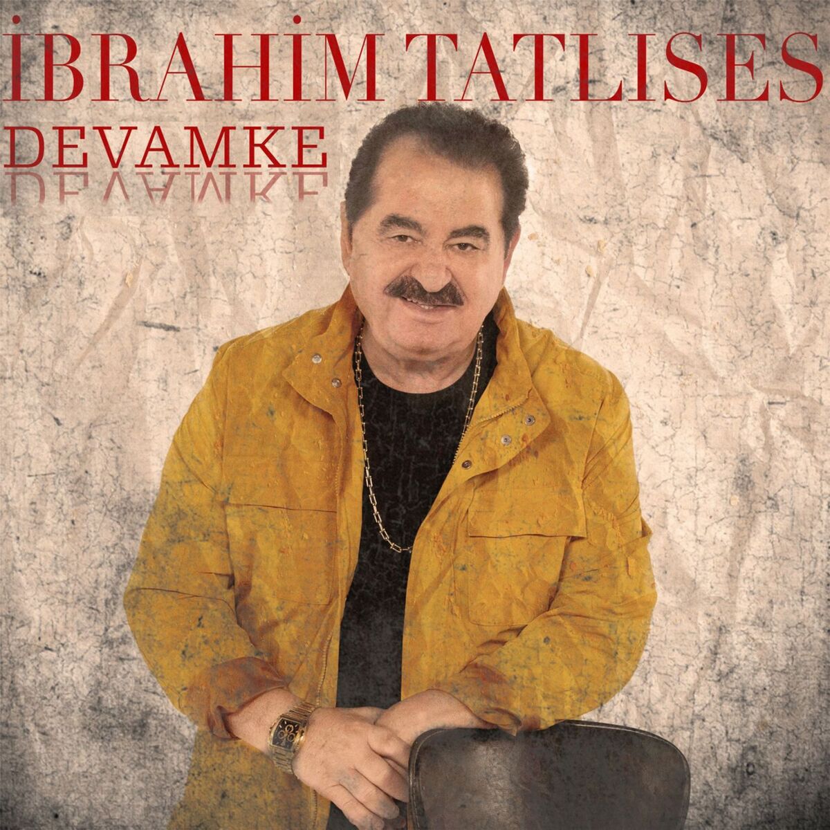 Album cover of Devamke