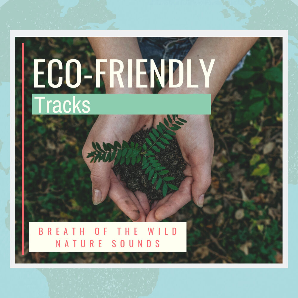 Picture of Eco-Friendly Tracks - Breath of the Wild Nature Sounds