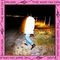 Who's That by The War On Drugs album cover