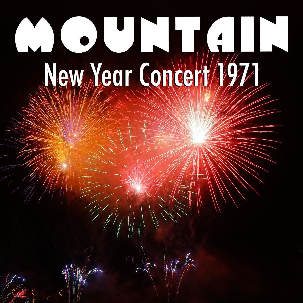Album cover of New Year Concert 1971 (Live)