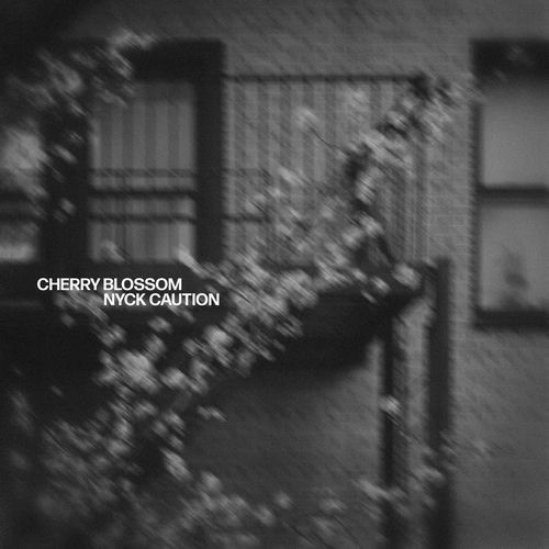 Cherry Blossom artwork