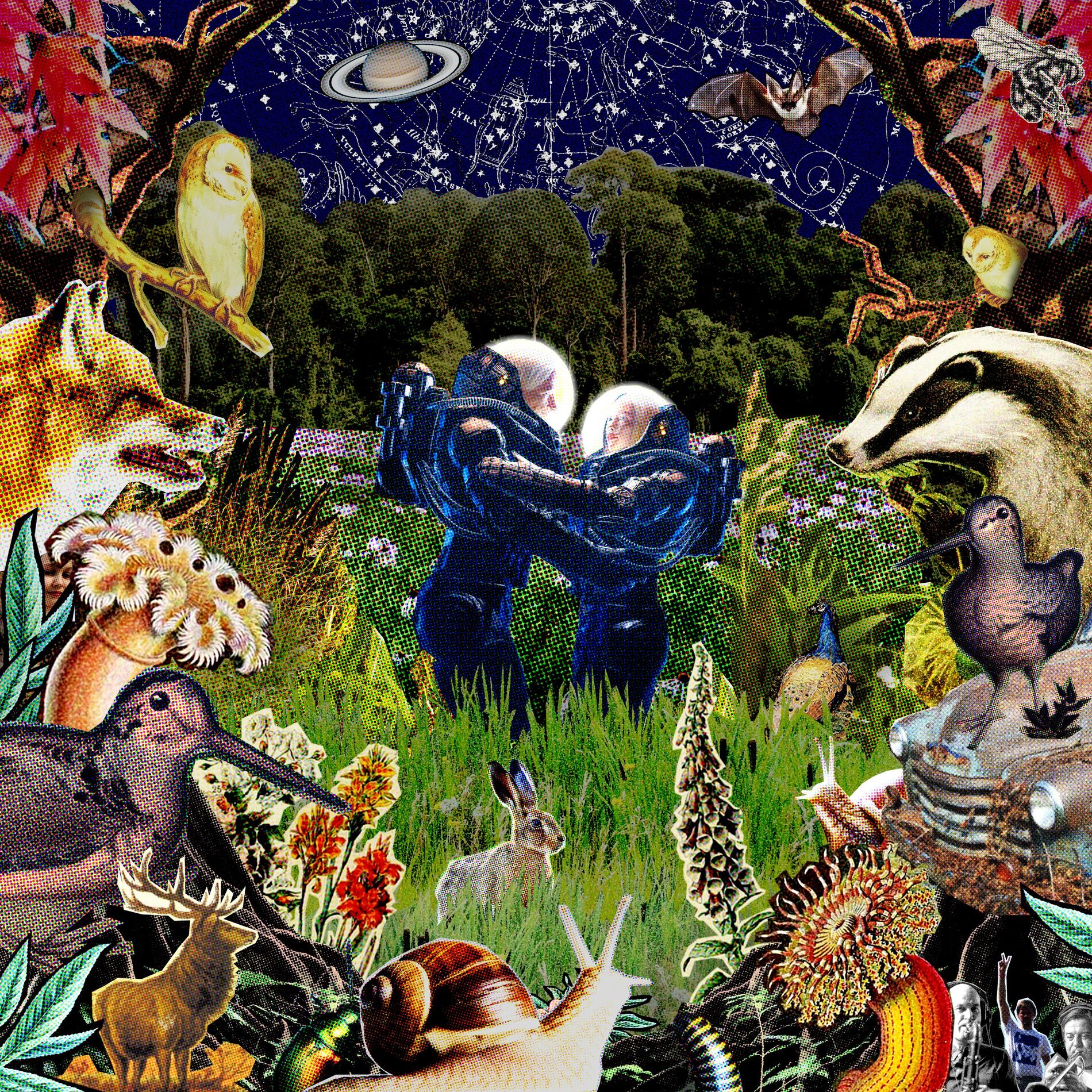 Album cover of Long Grass