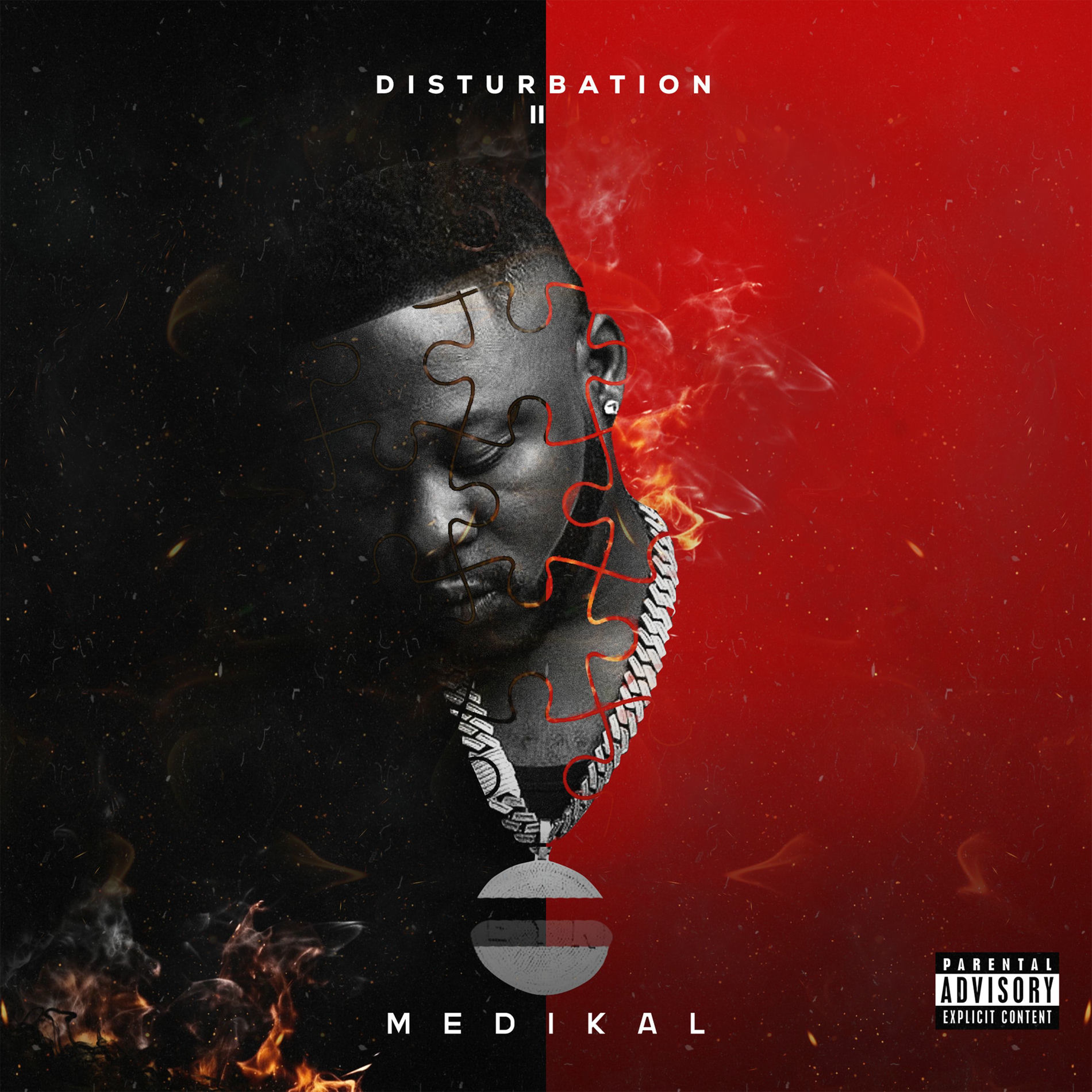 Album cover of Disturbation 2