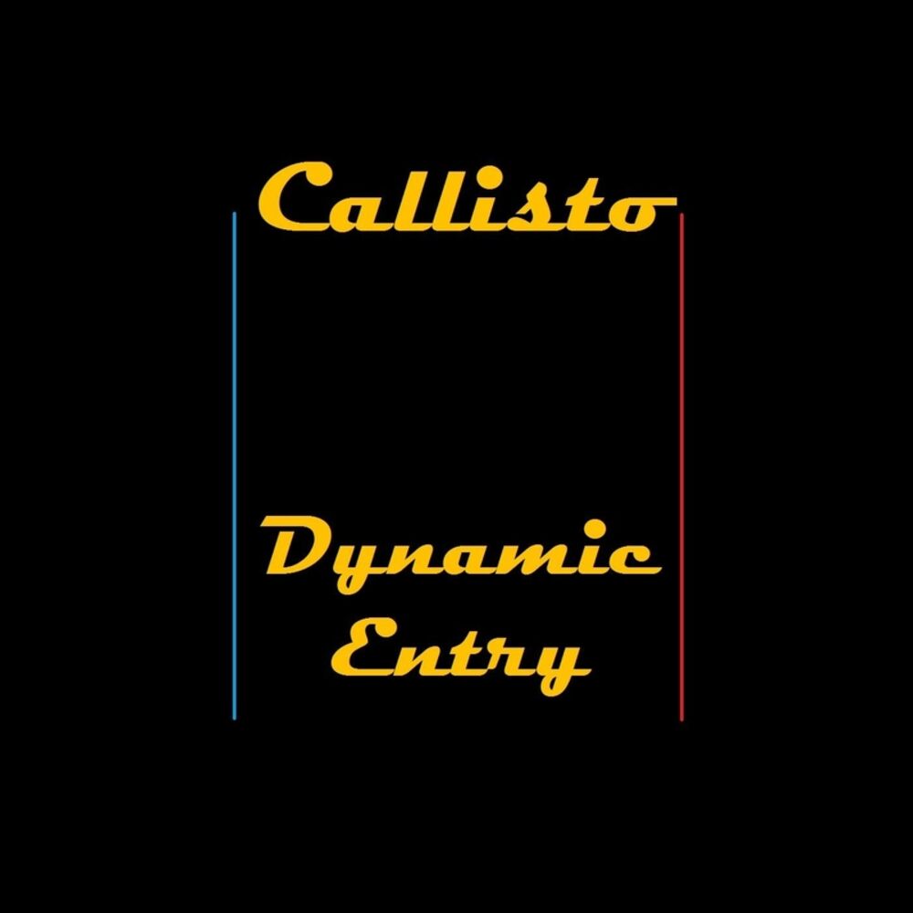 Picture of Dynamic Entry