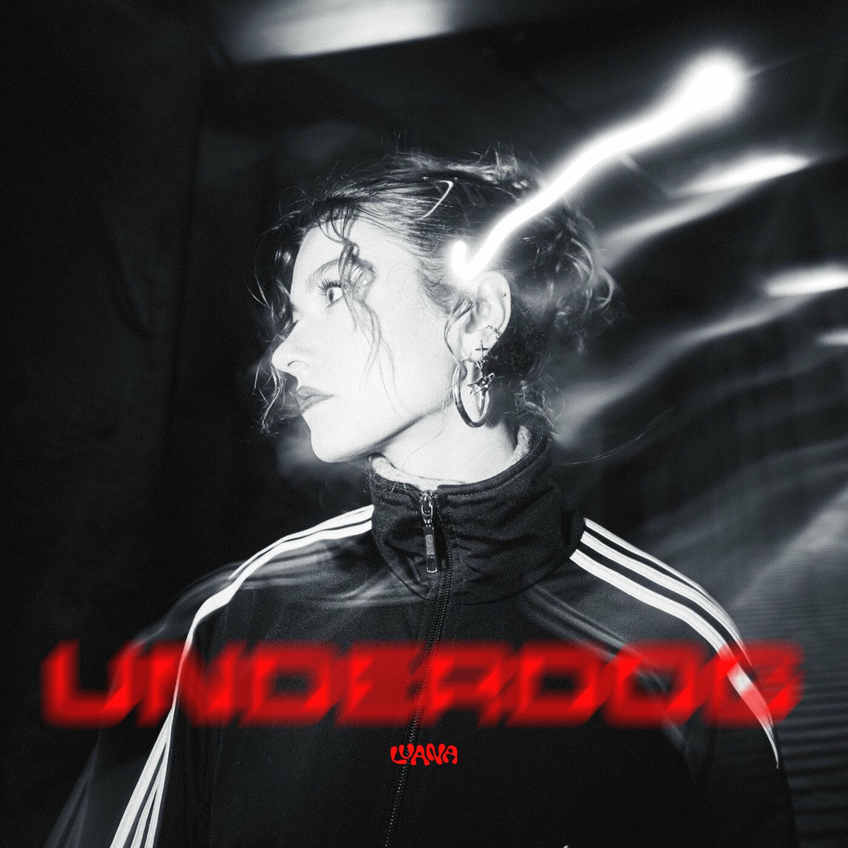 Album cover of Underdog