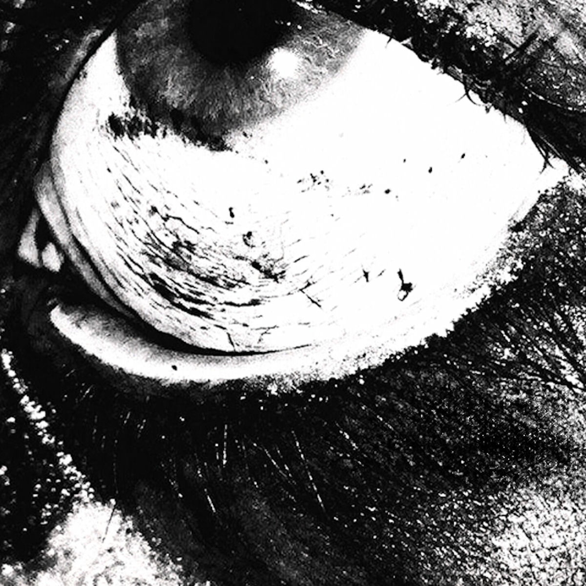 Album cover of Bound To Misery