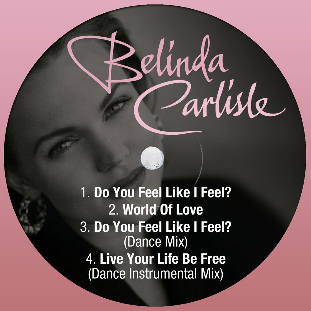 Do You Feel Like I Feel album cover