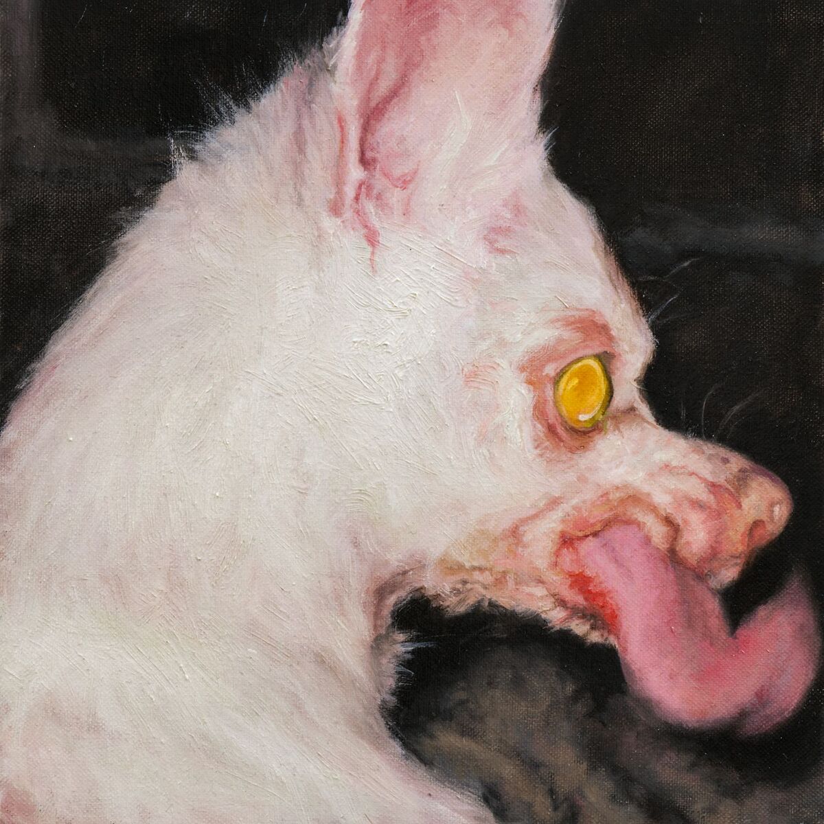 Album cover of AT LEAST SOMETHING IS PROTECTING YOU