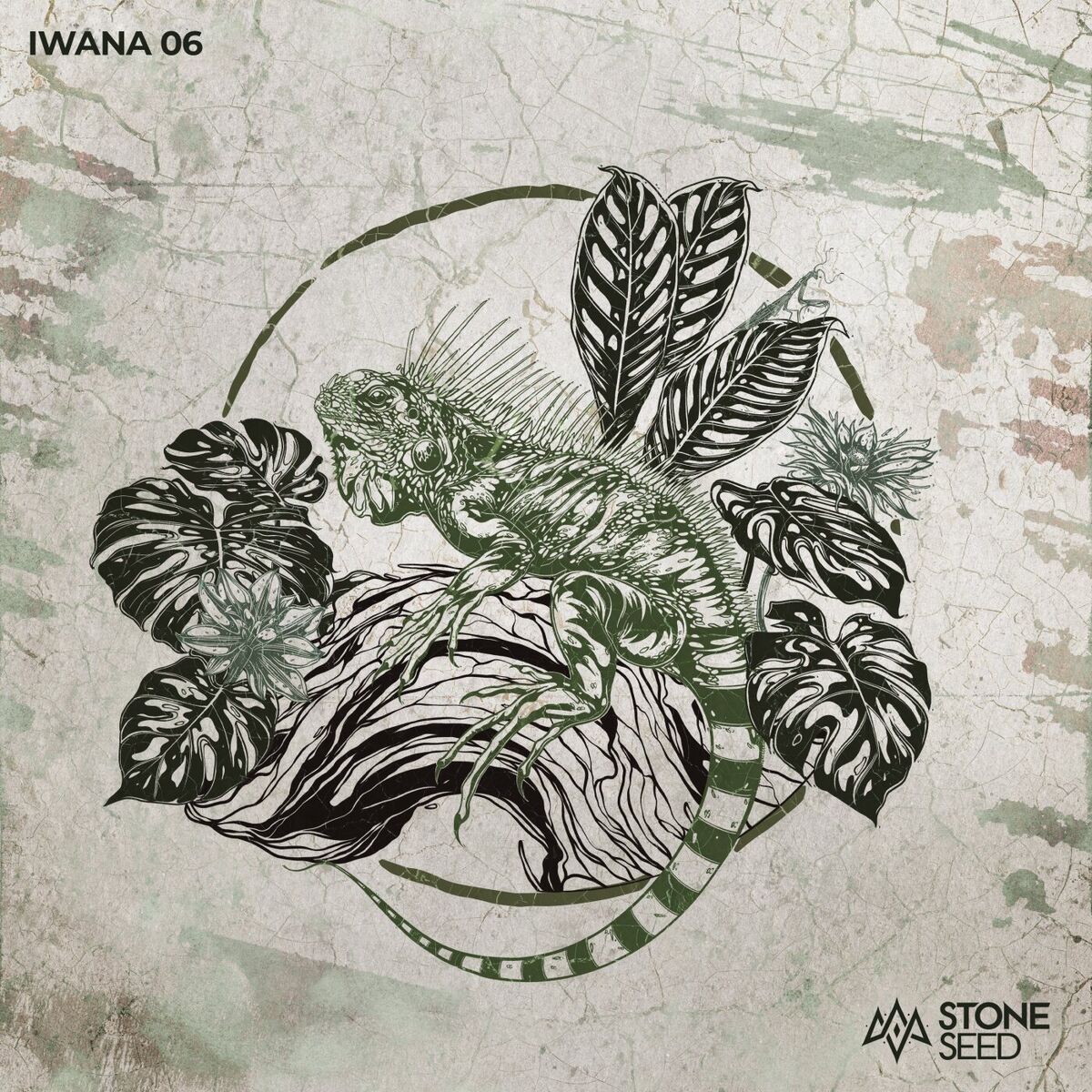 Album cover of IWANA 06