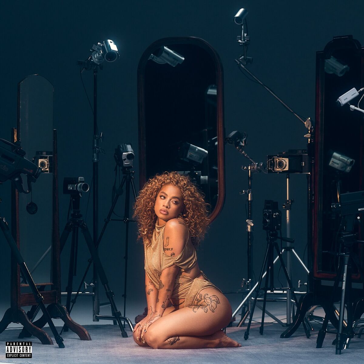 Album cover of Bitter Bitch