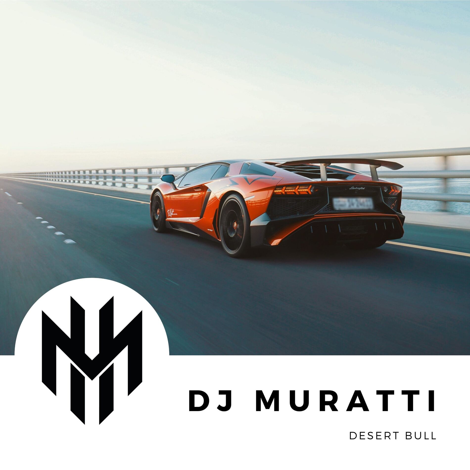 Album cover of Desert Bull