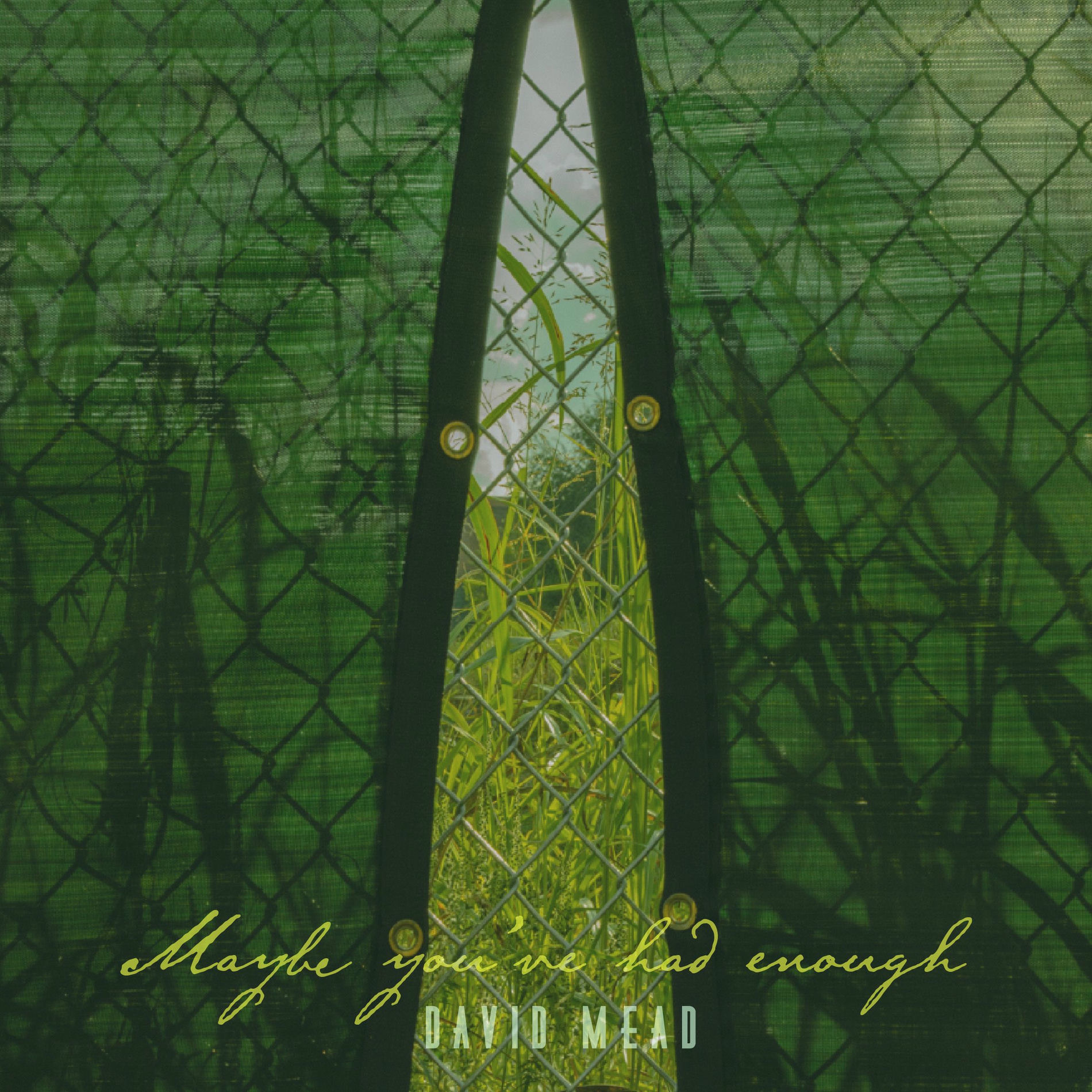 Album cover of Maybe You've Had Enough