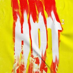 Cover of Hot2