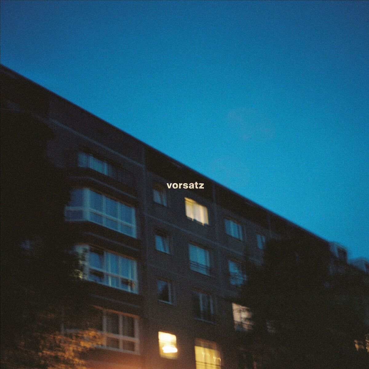 Album cover of vorsatz
