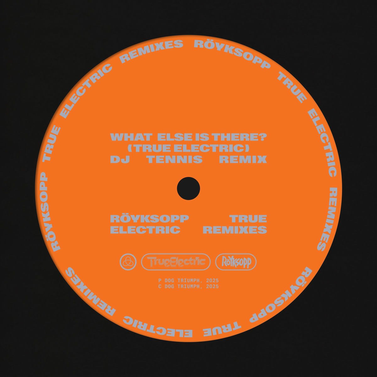 Album cover of What Else Is There? (True Electric)