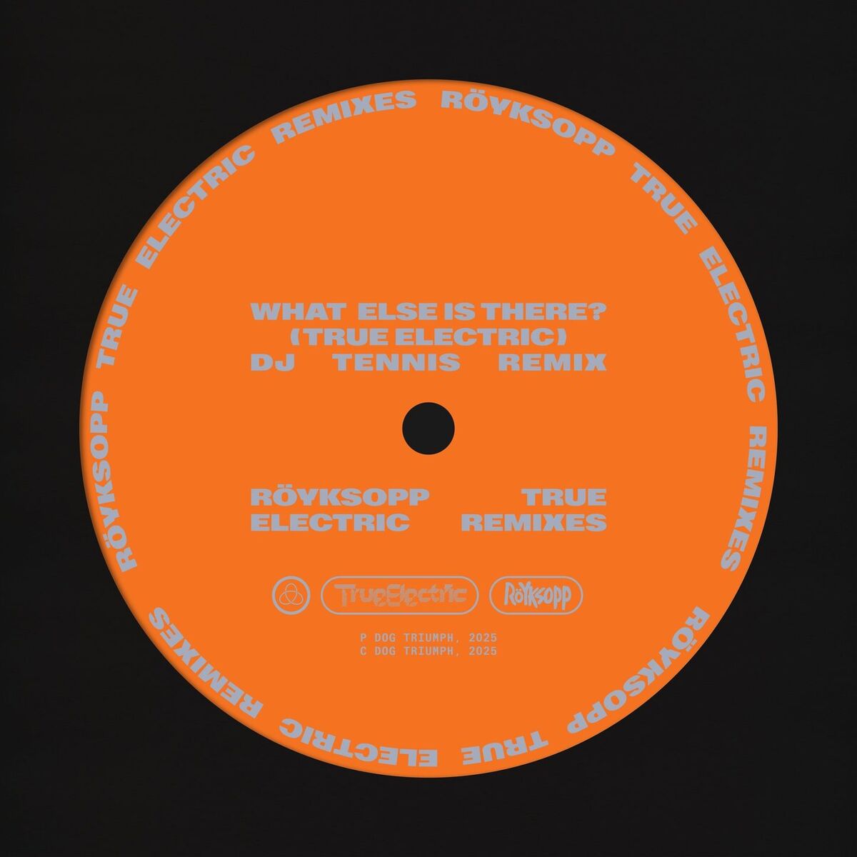 Album cover of What Else Is There? (True Electric) (DJ Tennis Remix)