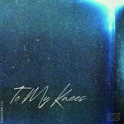 Cover of To My Knees