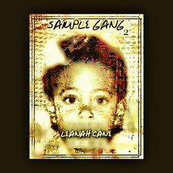 Cover of Sample Gang 2