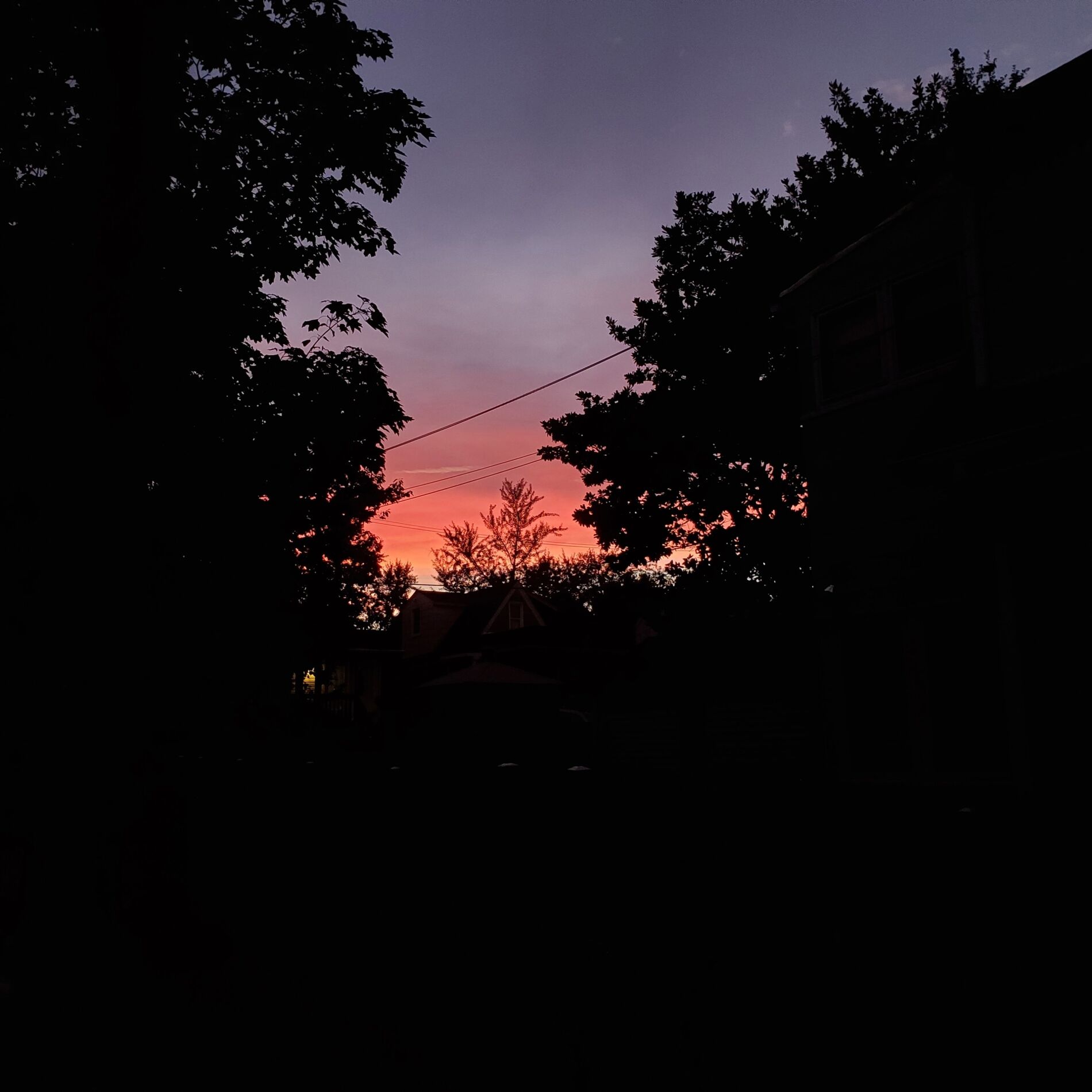 Album cover of solitude