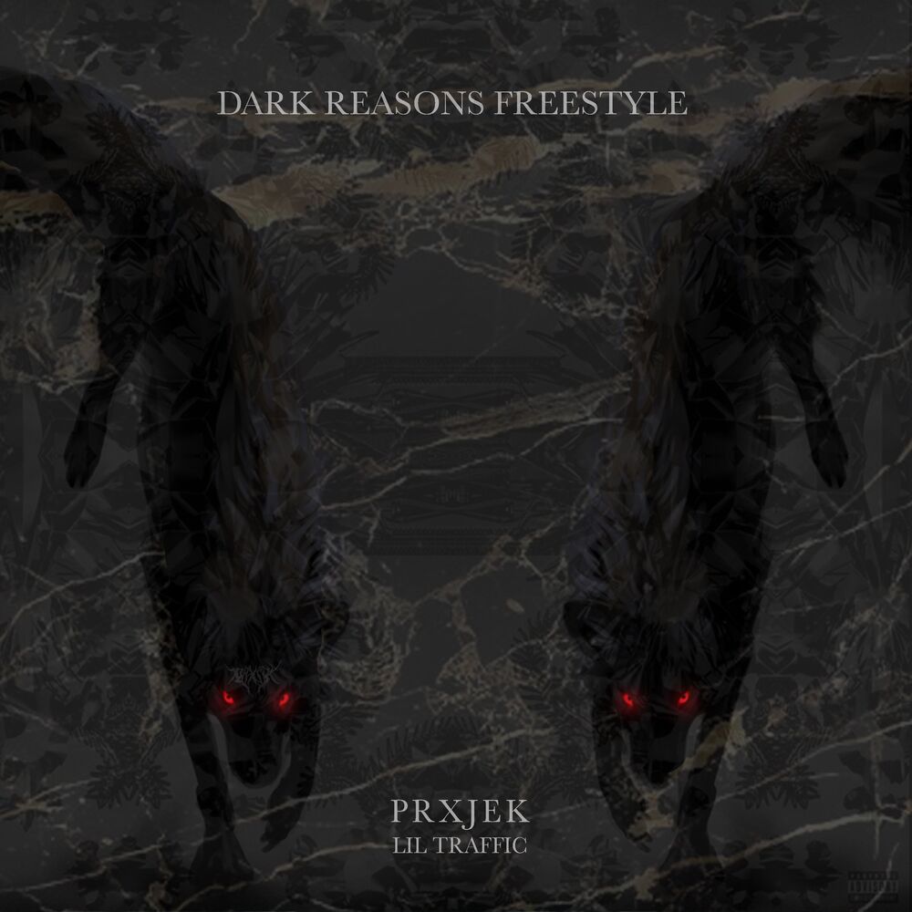 Picture of DARK REASONS (Freestyle)