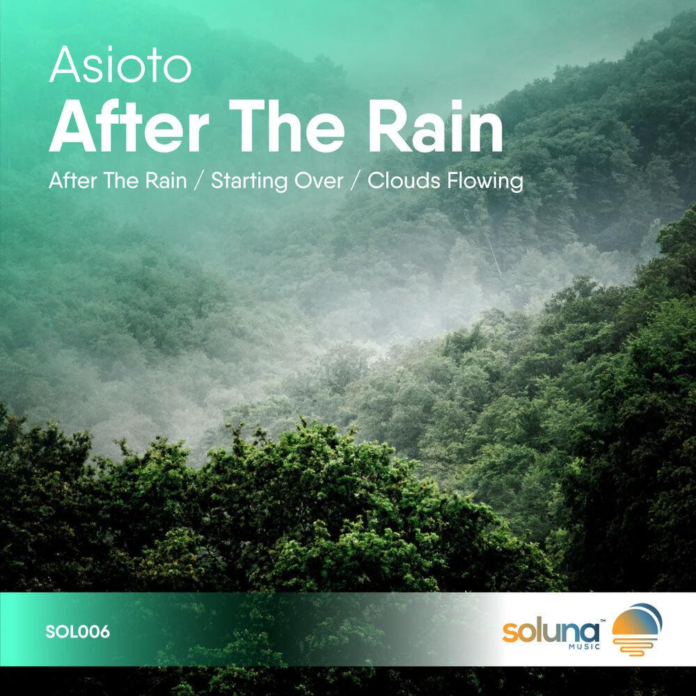 Picture of After the Rain