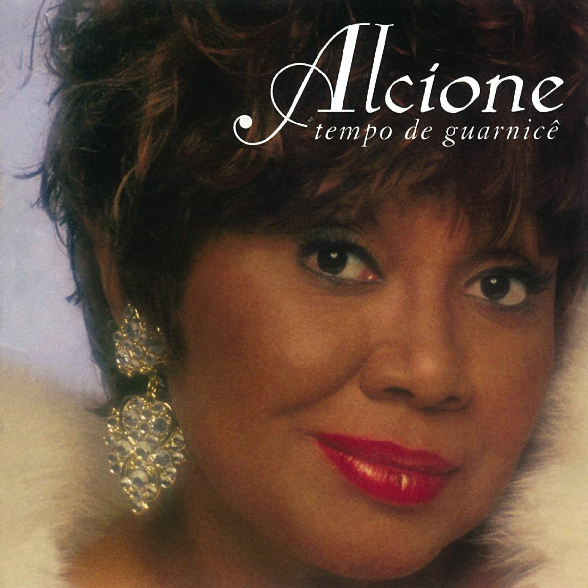Album cover of Tempo de Guarnice