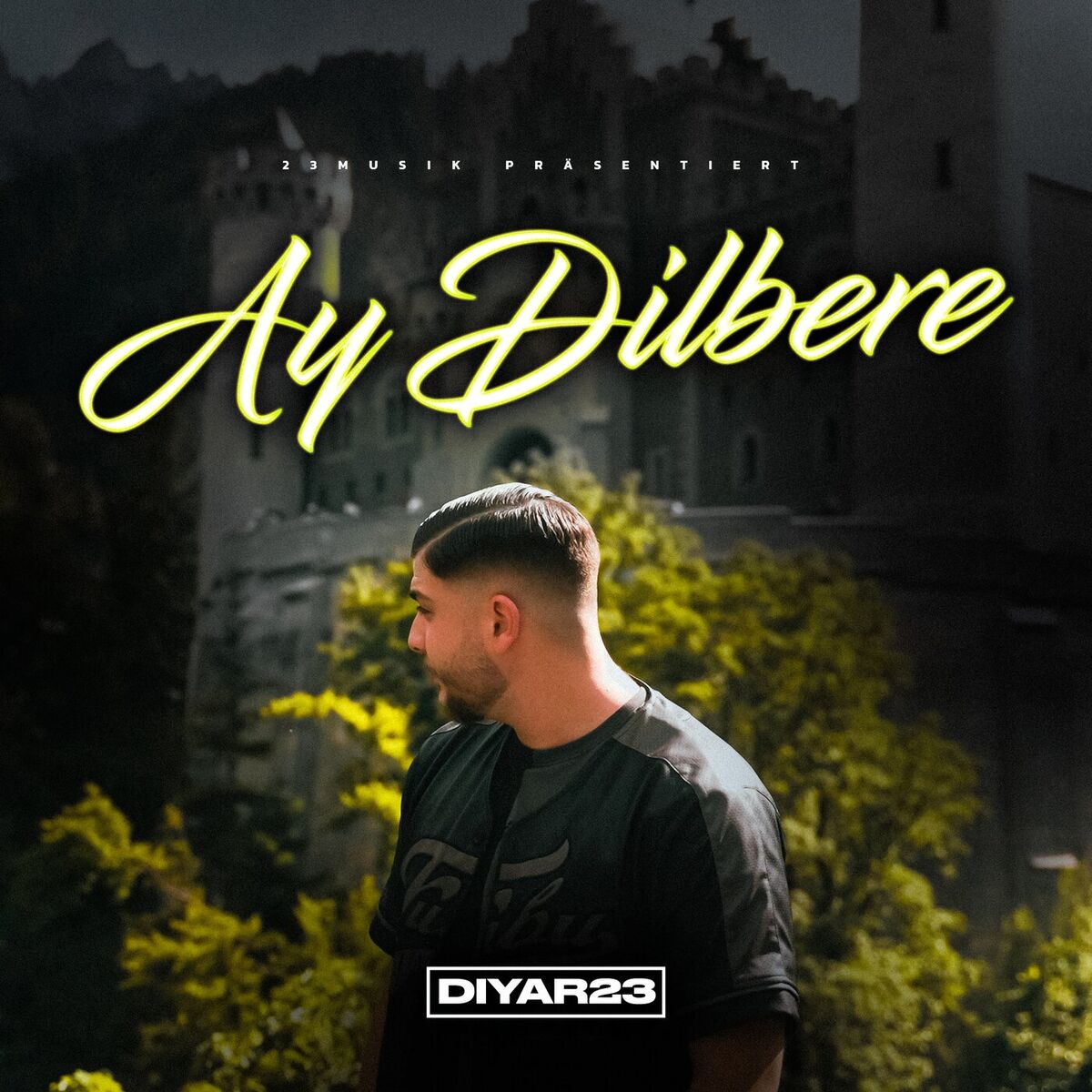 Album cover of Ay Dilbere