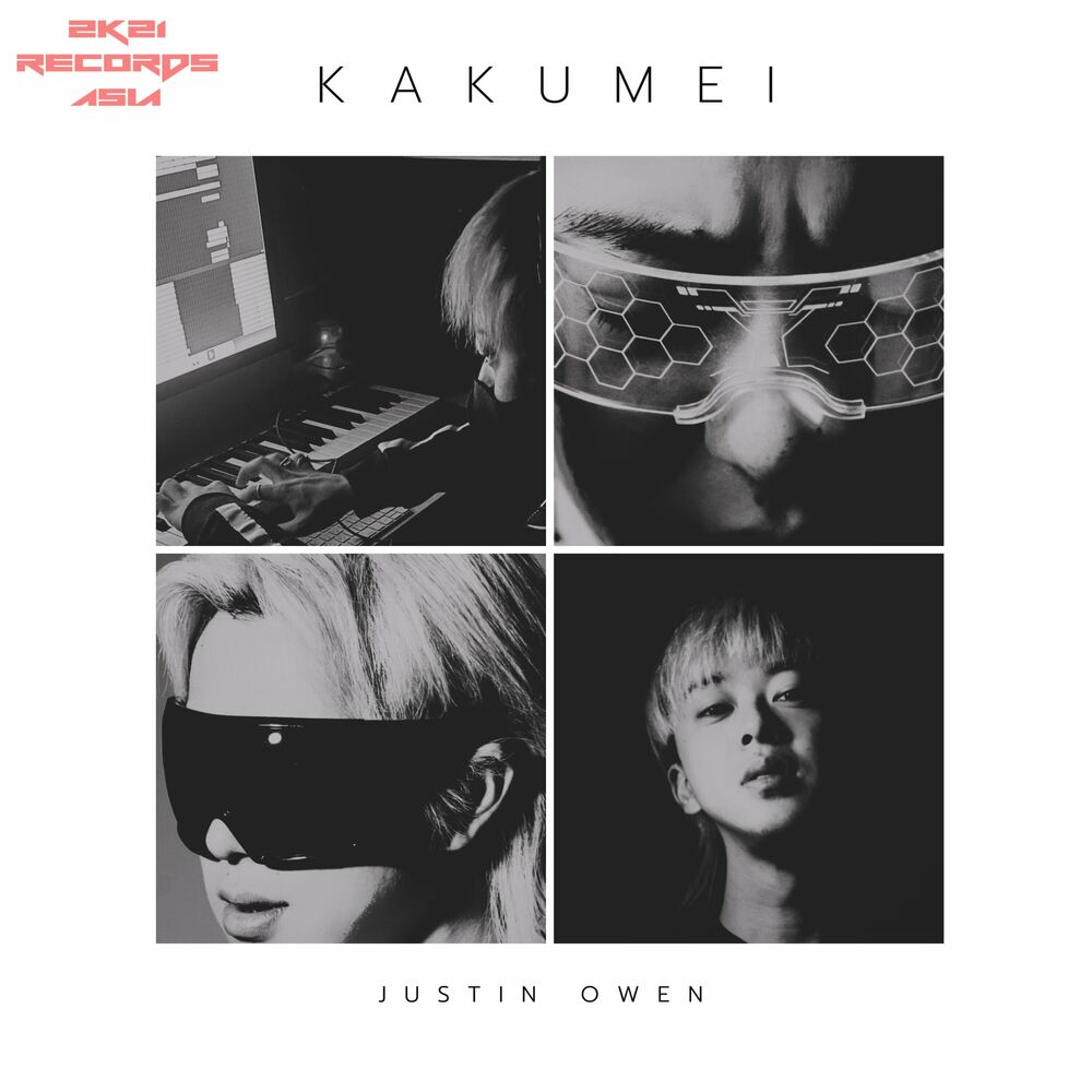 Picture of Kakumei