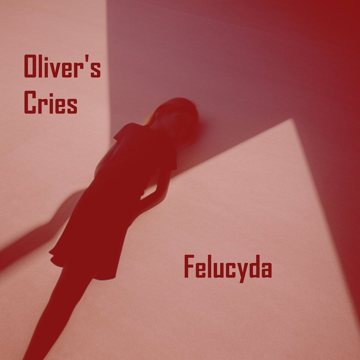 Album cover of Felucyda