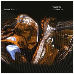 Cover of Elevation EP