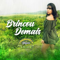 Cover of Brincou Demais
