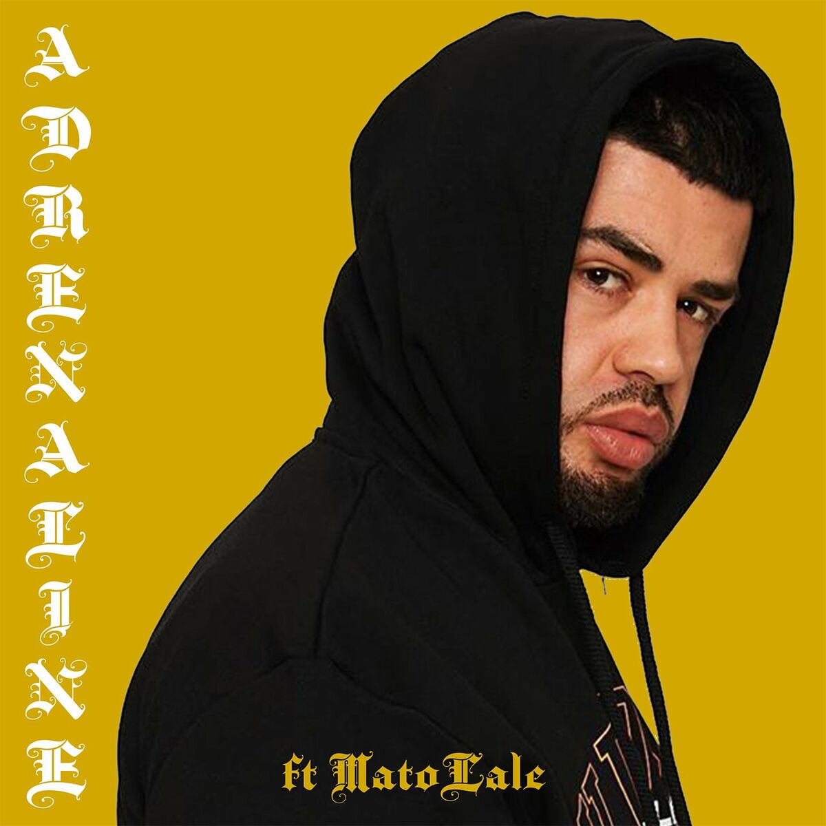 Album cover of Adrenaline