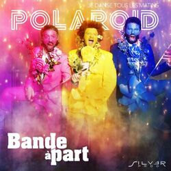 Cover of Polaroid