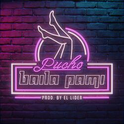 Cover of Baila Pami