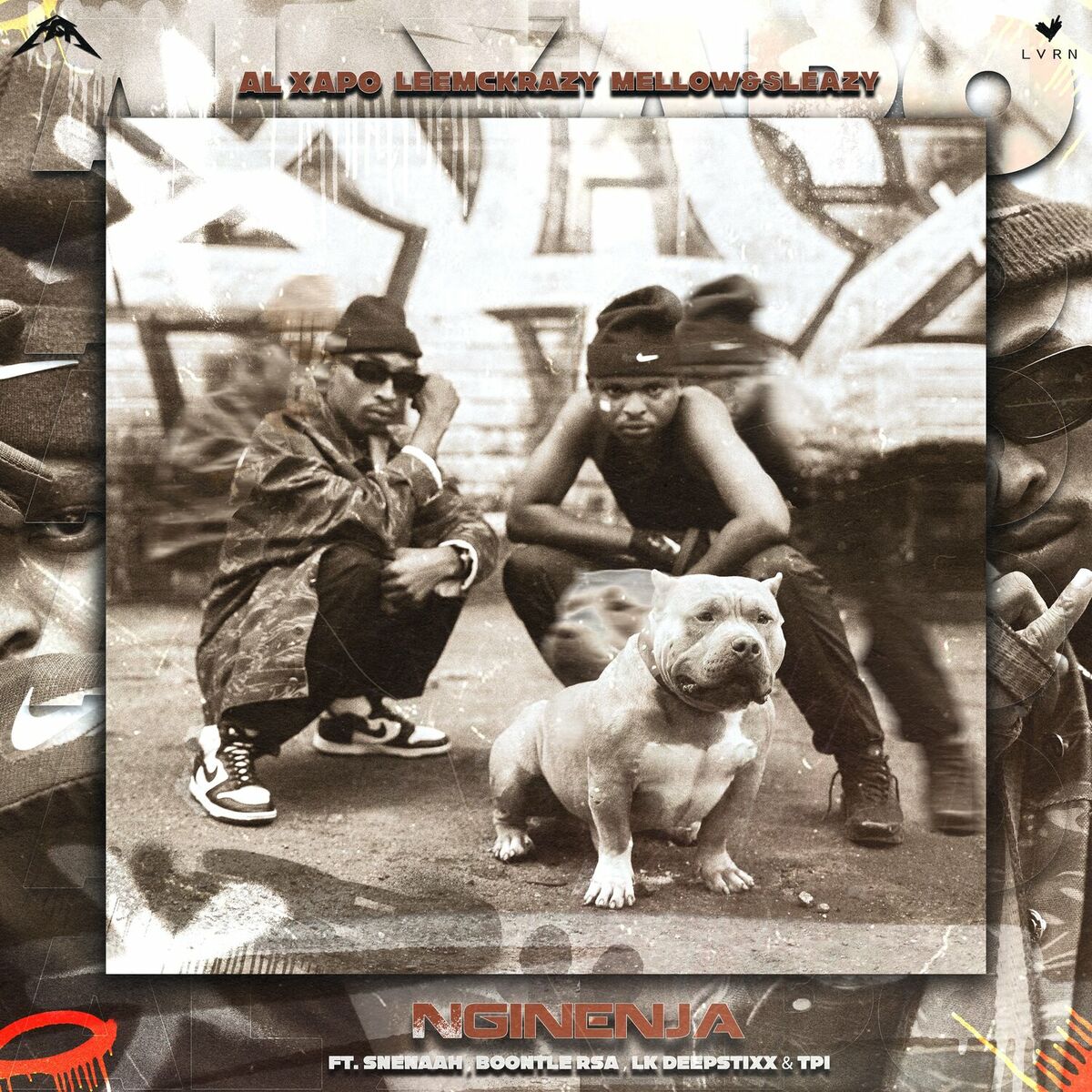 Album cover of Nginenja