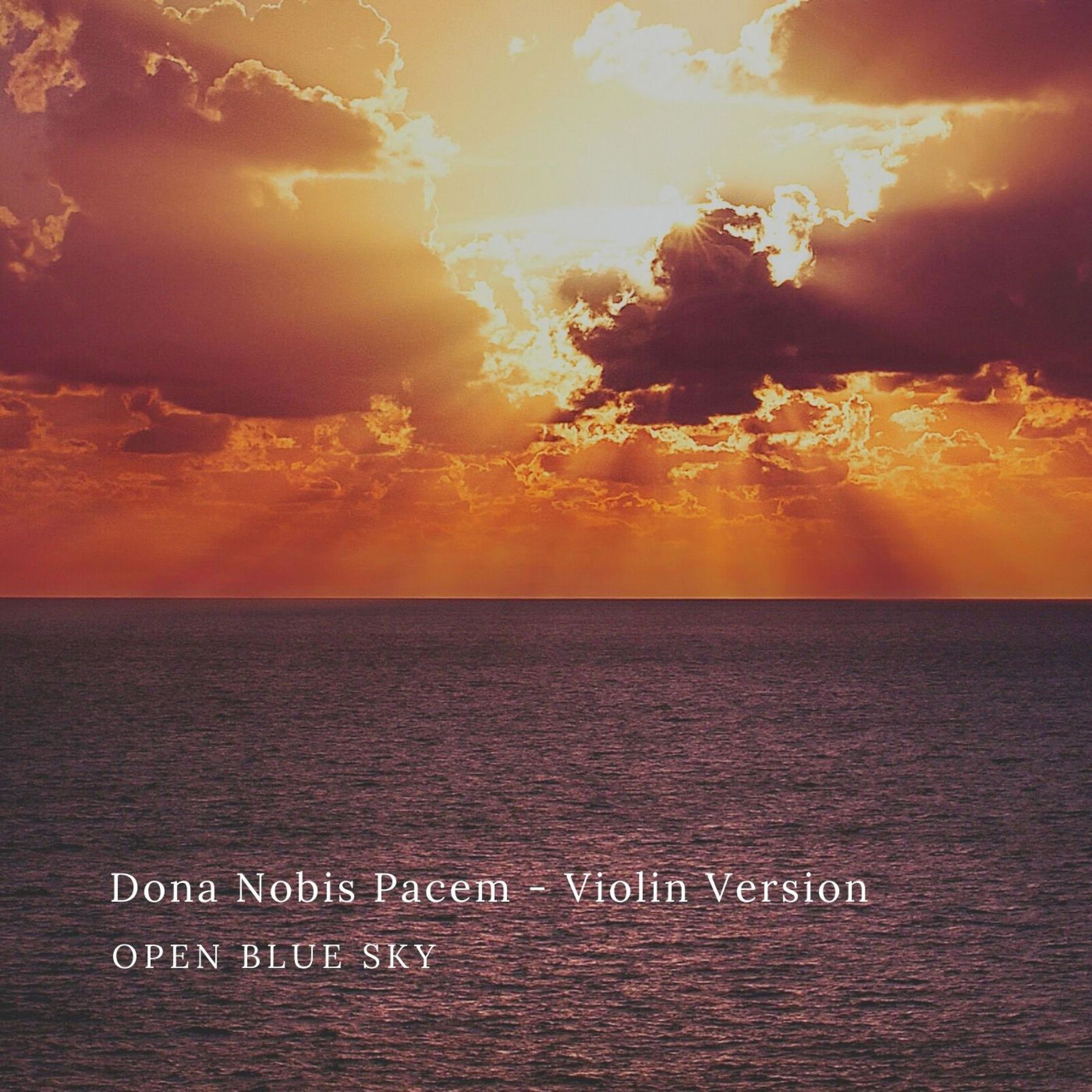 Album cover of Dona Nobis Pacem (Violin Version)